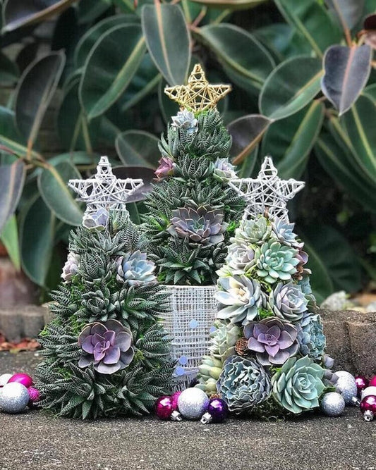 🔥Last Day 70% OFF - 🎁🎄Succulent Art Tree