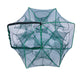 🔥Auto-Foldable Strengthened Fishing Trap Net