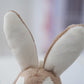 Carrot Bunny Doll Toys