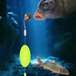 🎣⚡ Podwójny hak z odwróconym dnem! Ulepszona wersja zwiększa szybkość połączenia o 50% - koniec z utknięciem! 🎣