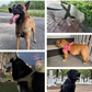 🥳 2026 GORĄCA WYPRZEDAŻ 🥳 💞 PONAD 50 000 SPRZEDANYCH! 🐕💪 🏷️ 50% ZNIŻKI!  Wytrzymałe taktyczne szelki dla psa – bez ciągnięcia, bez duszenia. Odblaskowe paski na nocne spacery. Wyściełany uchwyt z łatwym chwytem. 🛡️✨