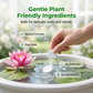 🥳2026 GORĄCA WYPRZEDAŻ🥳💞50 TYS. SPRZEDANYCH SZTUK!💧🌿 50% ZNIŻKI! Tabletki do oczyszczania wody – usuwają glony i zmętnienie, utrzymują wodę w doniczce krystalicznie czystą. Jedna tabletka, natychmiastowe efekty! 🌱✨