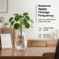 🥳2026 GORĄCA WYPRZEDAŻ🥳💞50 TYS. SPRZEDANYCH SZTUK!💧🌿 50% ZNIŻKI! Tabletki do oczyszczania wody – usuwają glony i zmętnienie, utrzymują wodę w doniczce krystalicznie czystą. Jedna tabletka, natychmiastowe efekty! 🌱✨