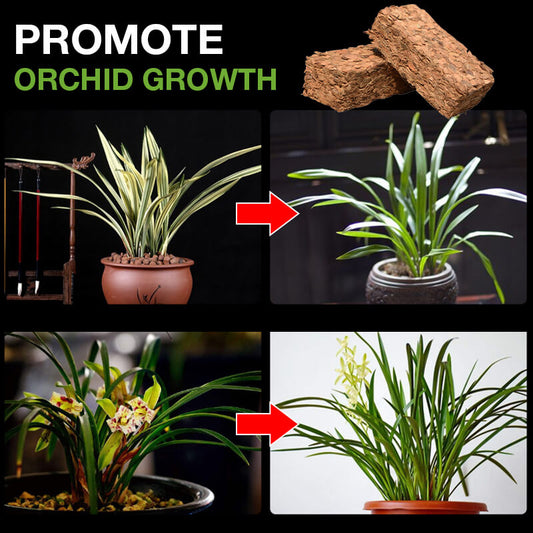 Orchid specific small coconut shell brick nutrient soil