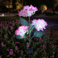 Creative Gift * Simulated Hydrangea Solar Light - Outdoor Garden Decoration